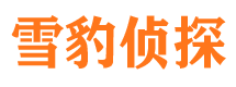 东源捉小三公司